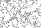 GREMLIN Antibody (C-term)